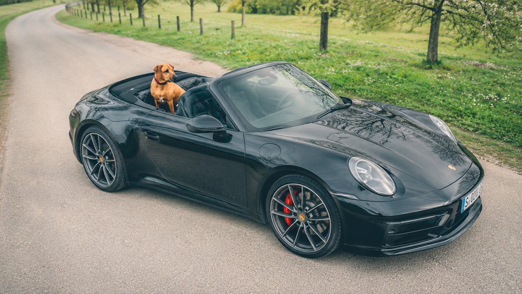 Cabrio mit Hund